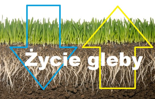 Życie gleby